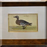 A21a. Framed print. 18” x 25”